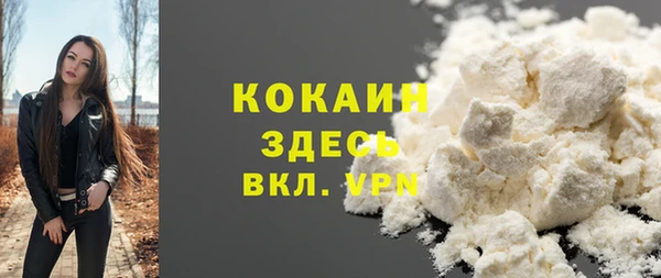спиды Абаза