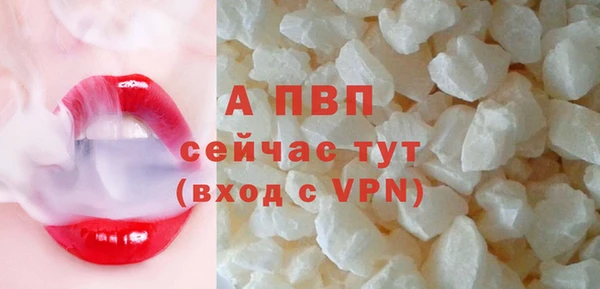 СК Абинск
