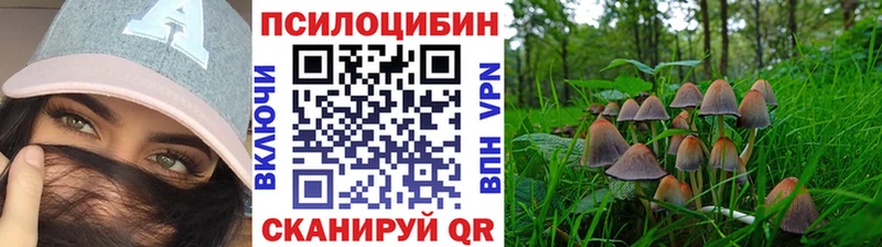 купить  сайты  hydra ONION  Псилоцибиновые грибы ЛСД  Шилка 